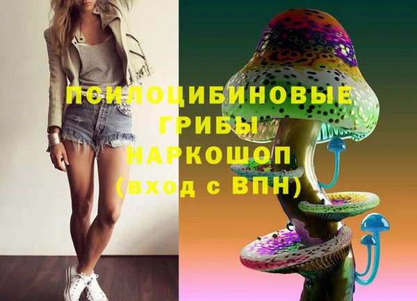 ECSTASY Баксан