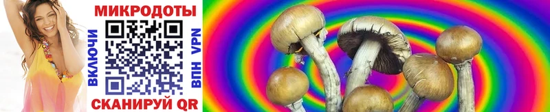 даркнет сайт  Гдов  Галлюциногенные грибы GOLDEN TEACHER 